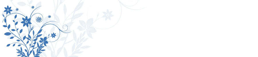 ̔NO`ω̌ЉŐLA헪